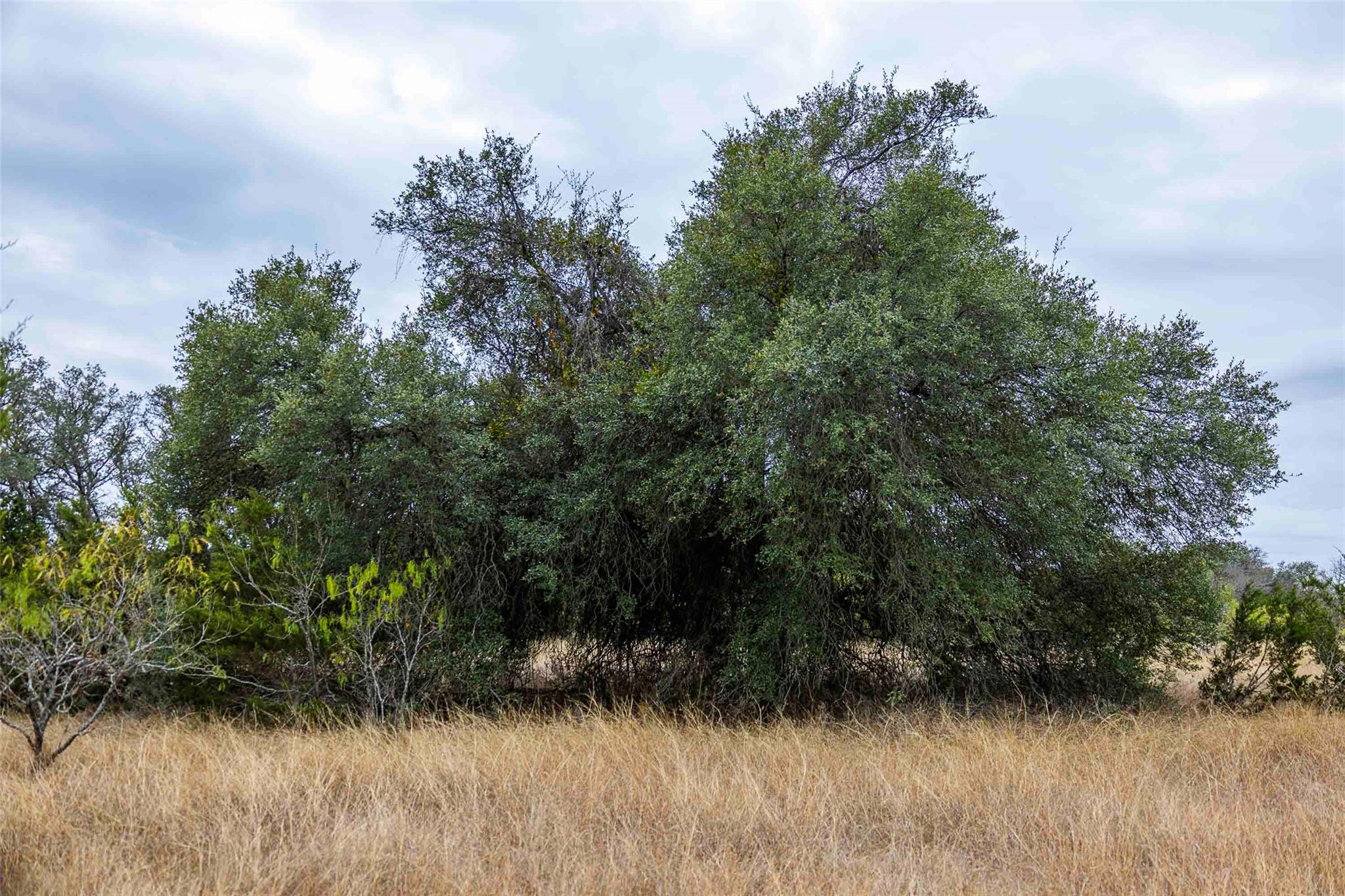 Tbd County Road 200 Bertram TX 78611