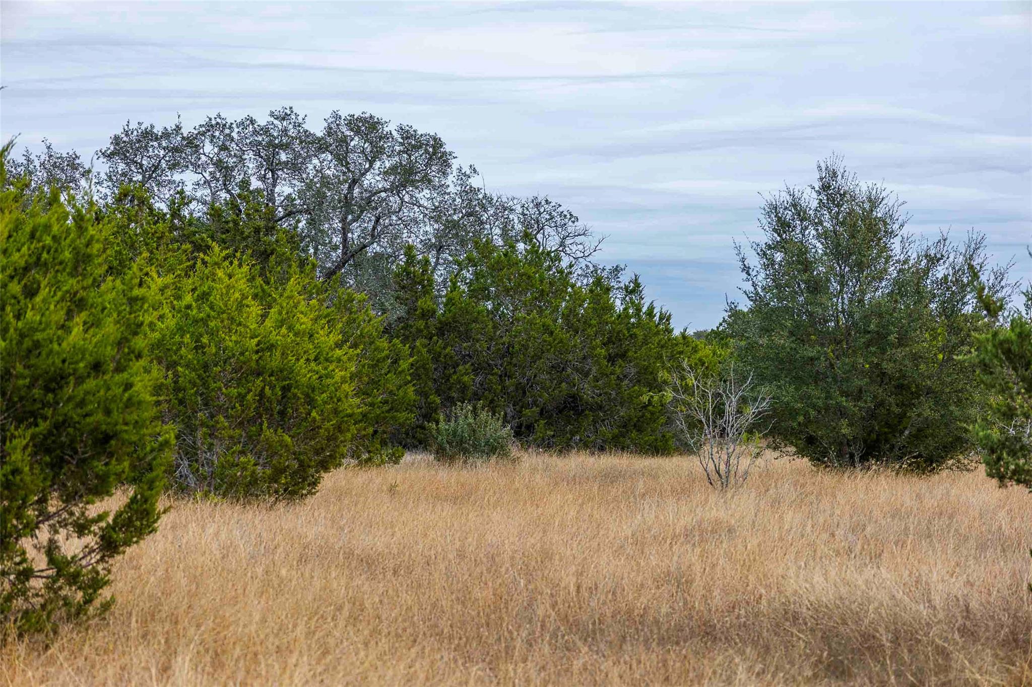 Tbd County Road 200 Bertram TX 78611