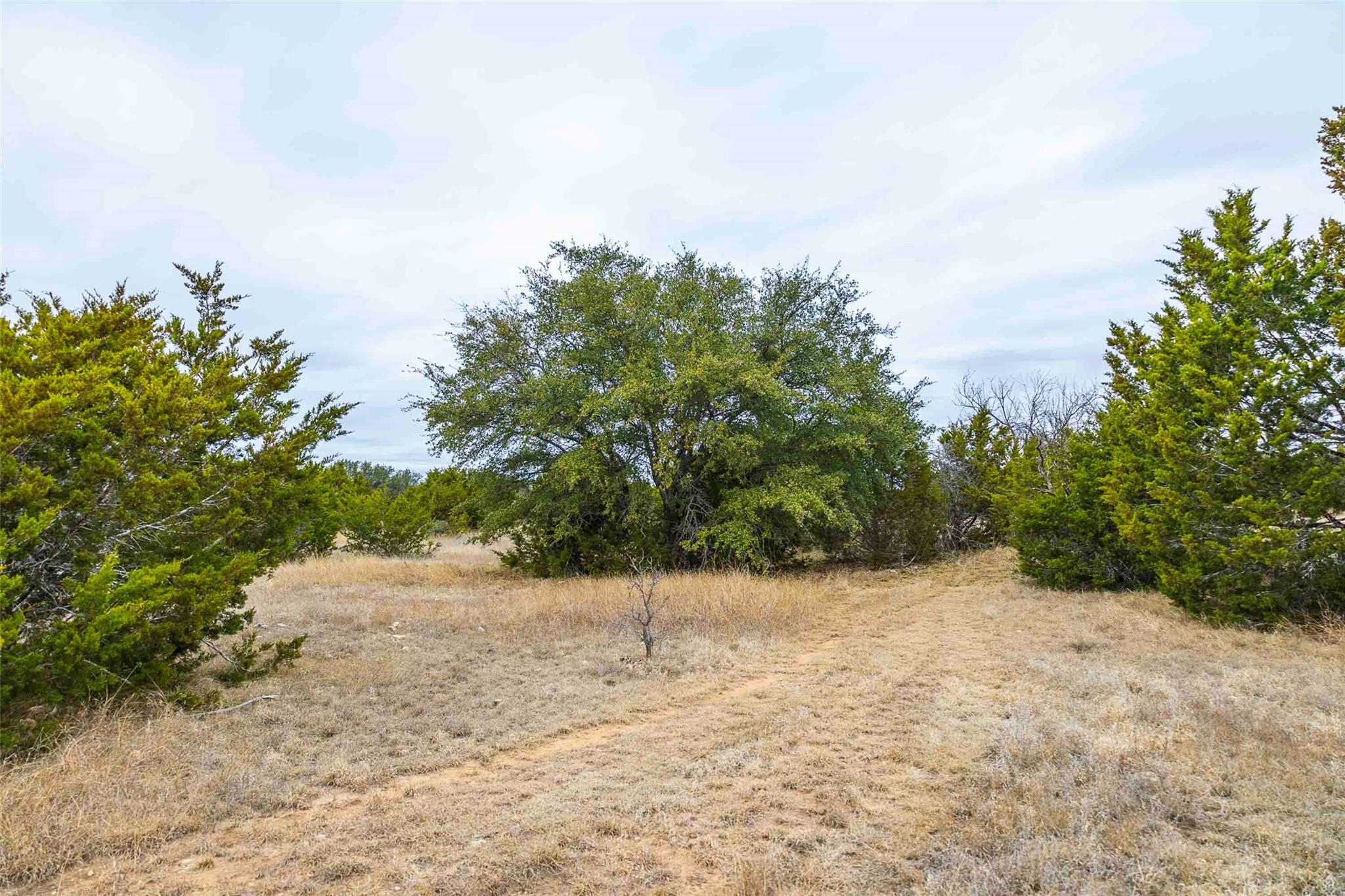 Tbd County Road 200 Bertram TX 78611