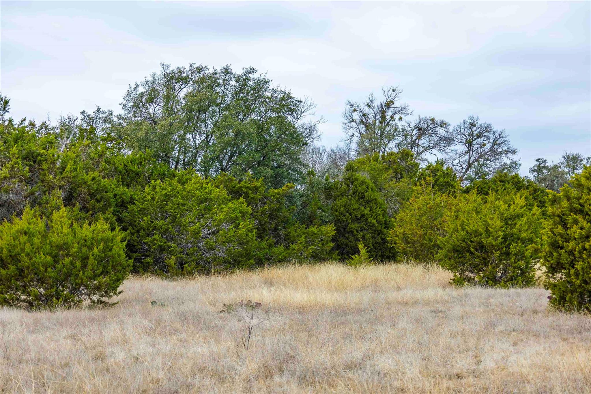 Tbd County Road 200 Bertram TX 78611