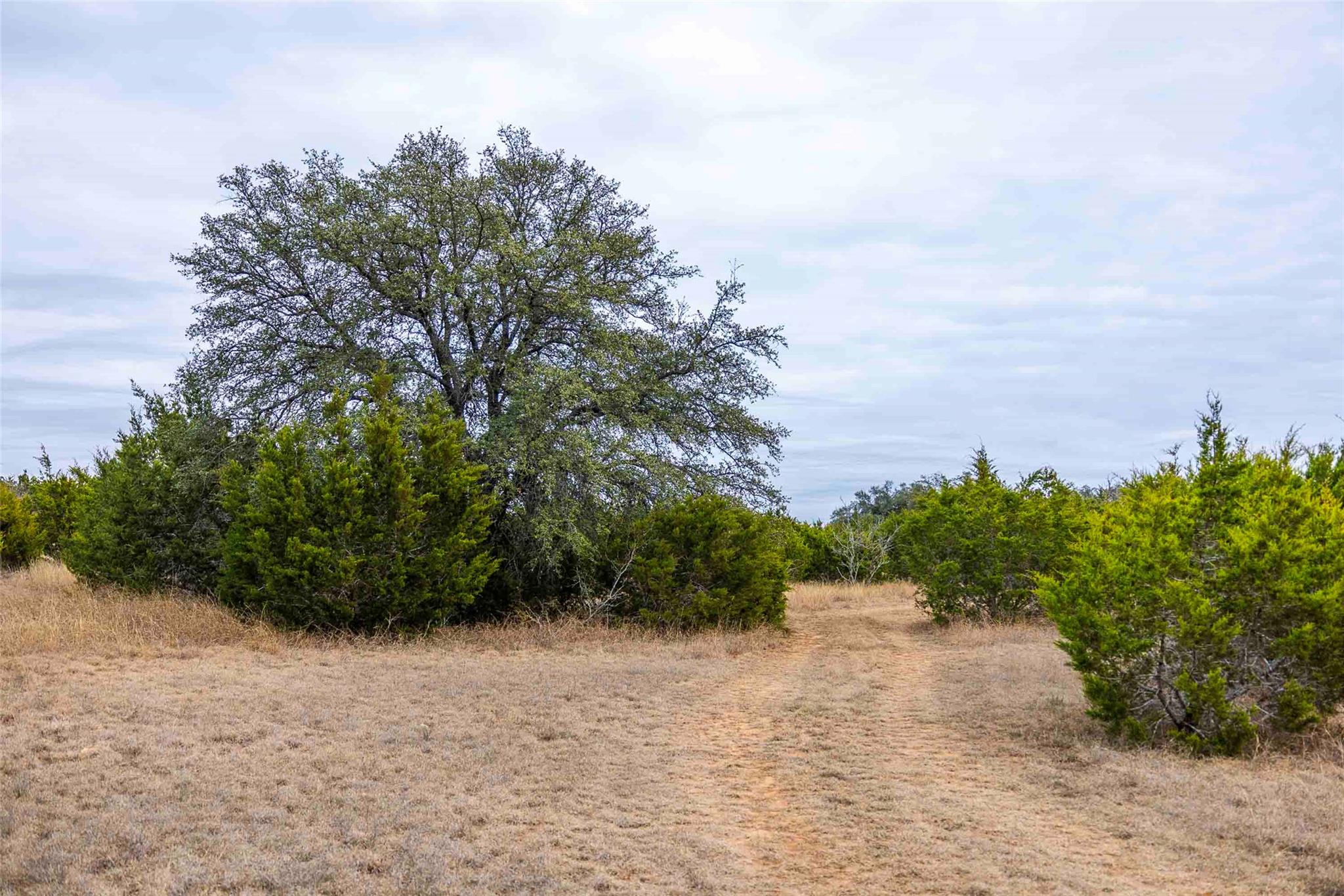 Tbd County Road 200 Bertram TX 78611