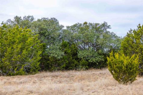 Tbd County Road 200 Bertram TX 78611