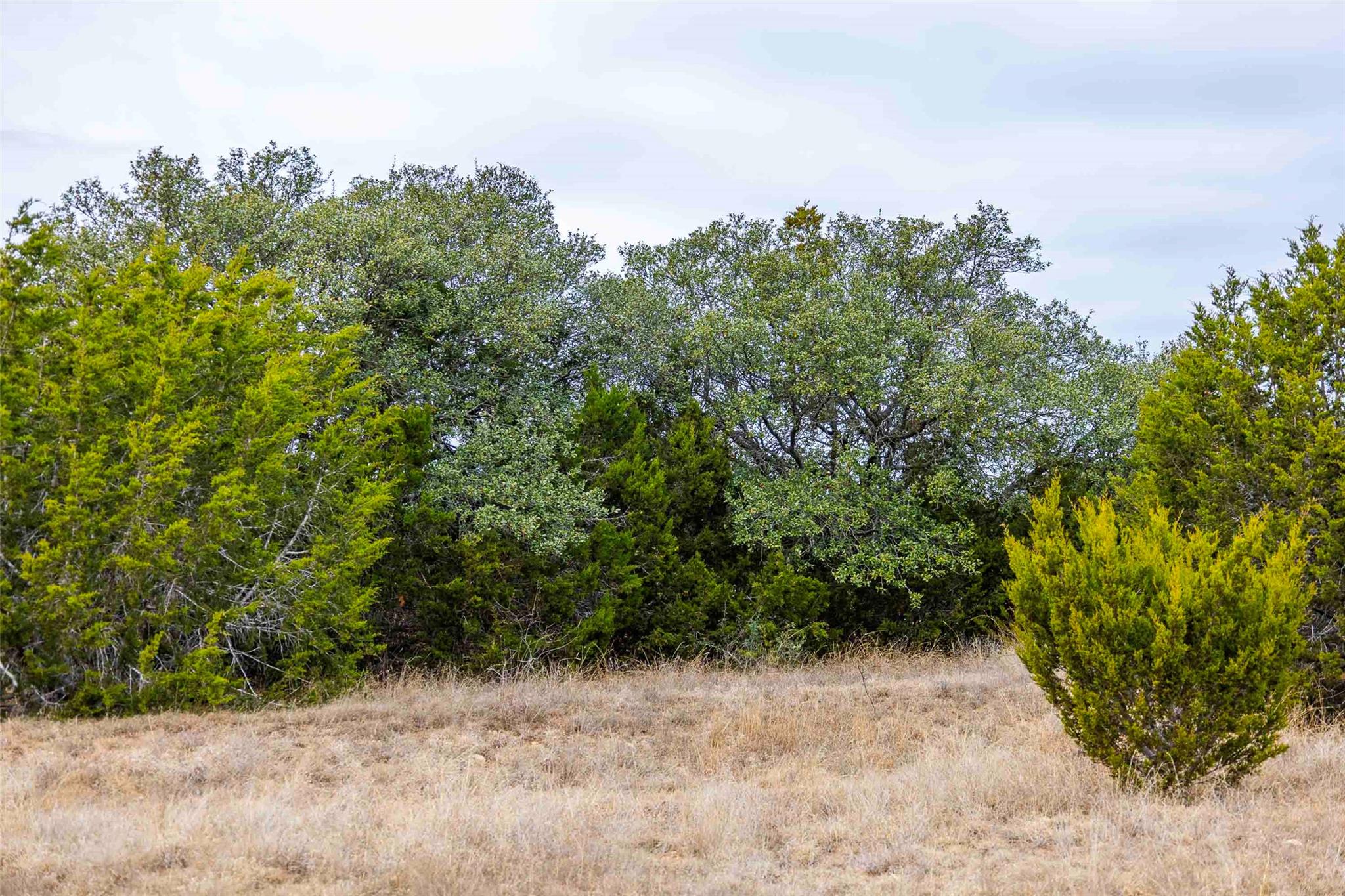 Tbd County Road 200 Bertram TX 78611