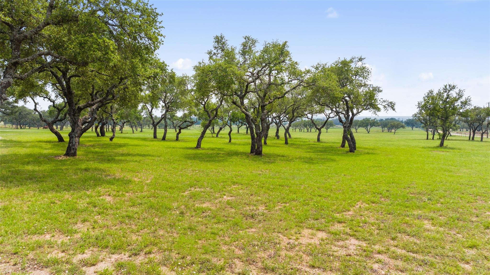 3431 Klett Ranch Road Johnson City TX 78636