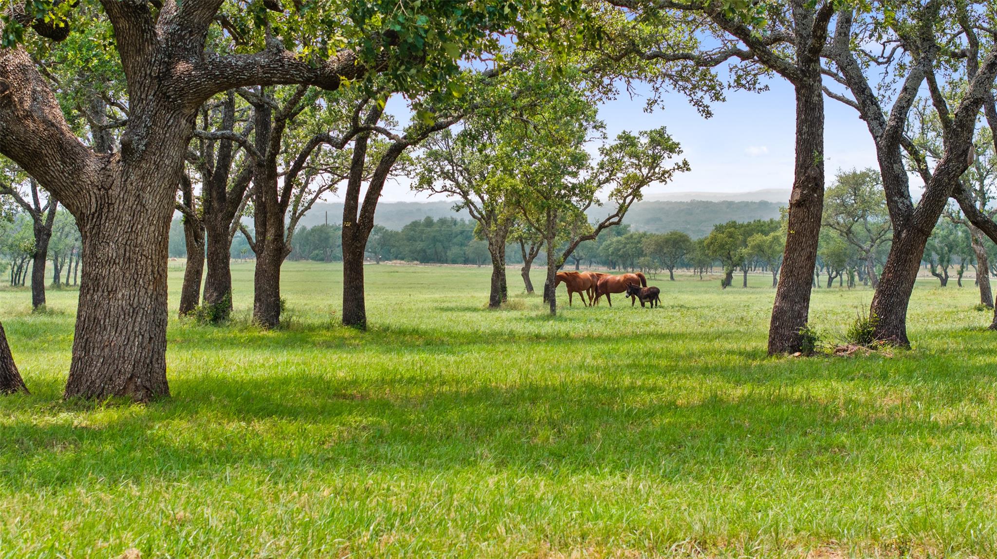 3431 Klett Ranch Road Johnson City TX 78636