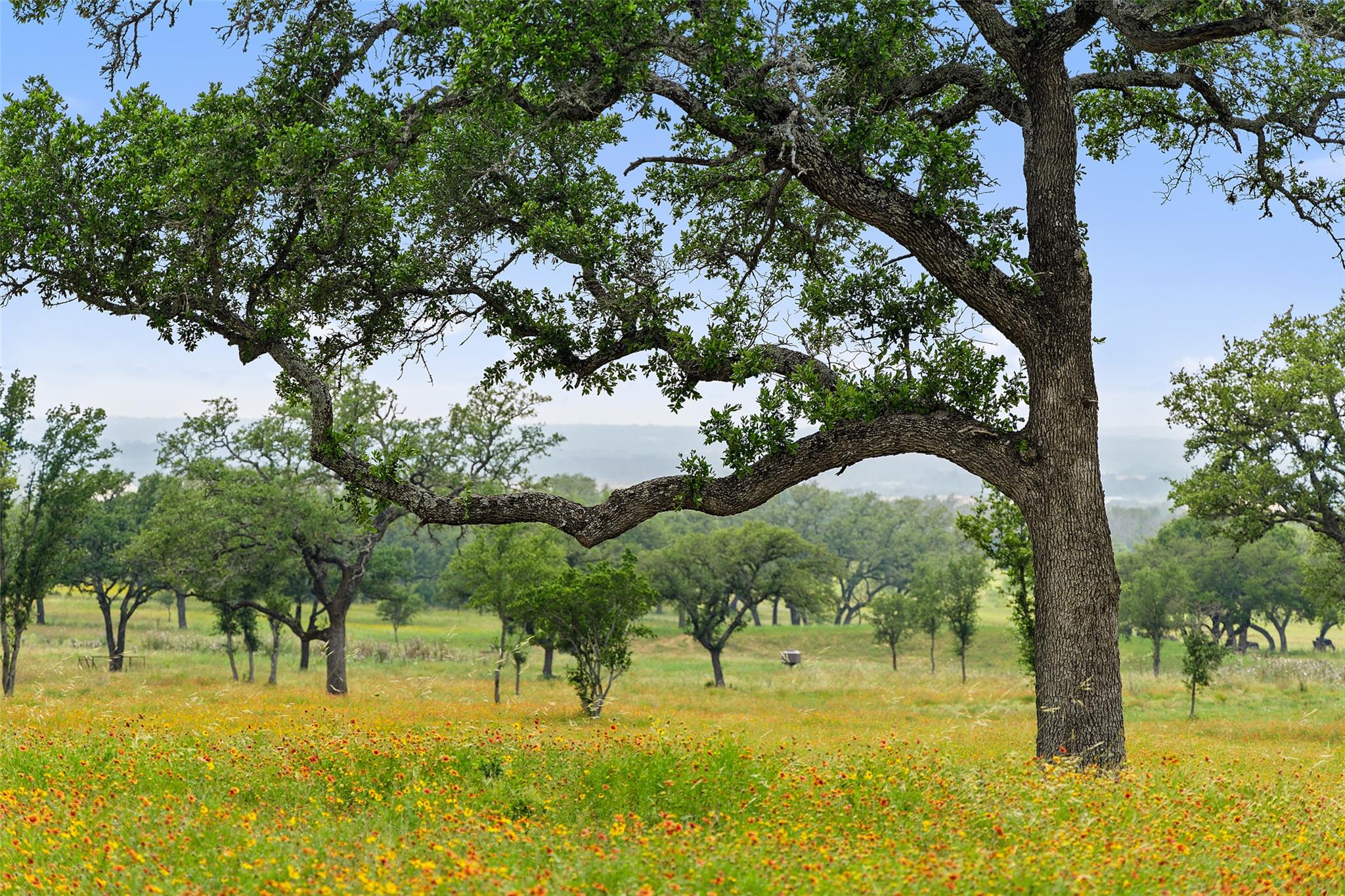 3431 Klett Ranch Road Johnson City TX 78636