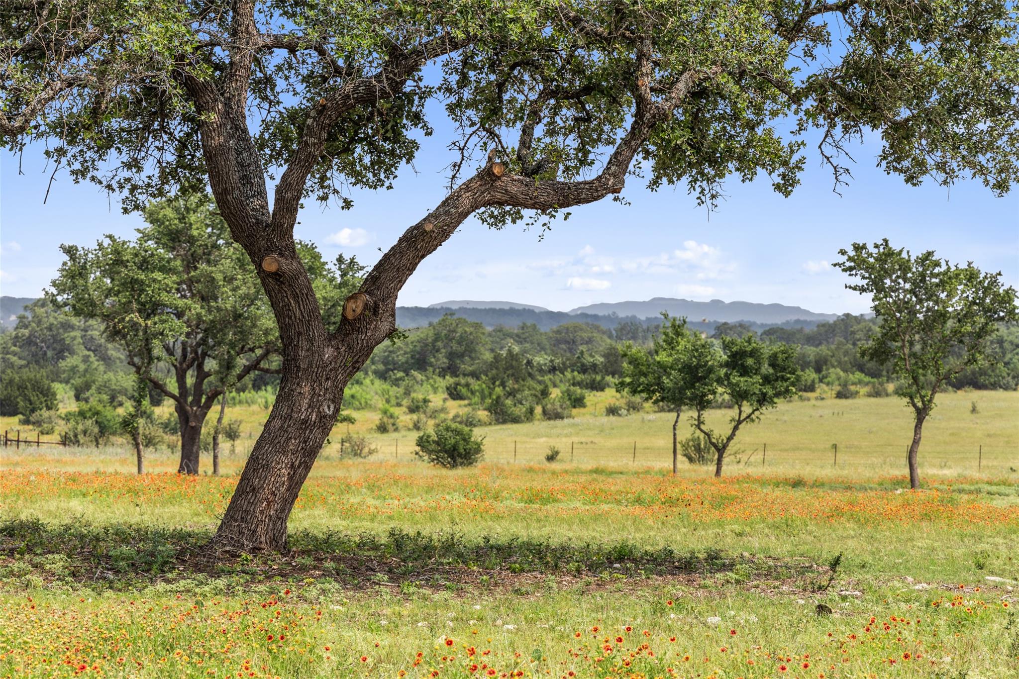 3431 Klett Ranch Road Johnson City TX 78636