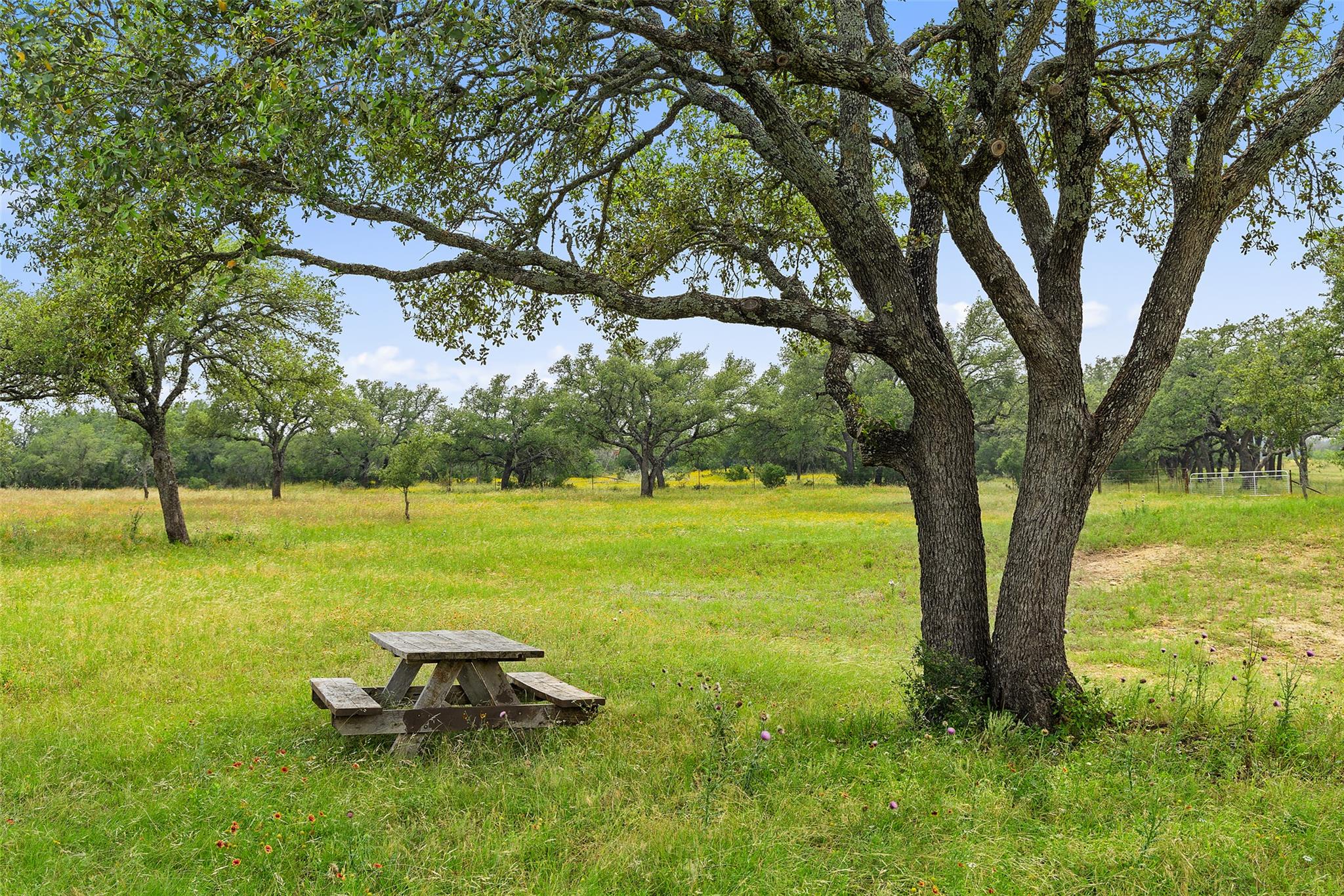 3431 Klett Ranch Road Johnson City TX 78636