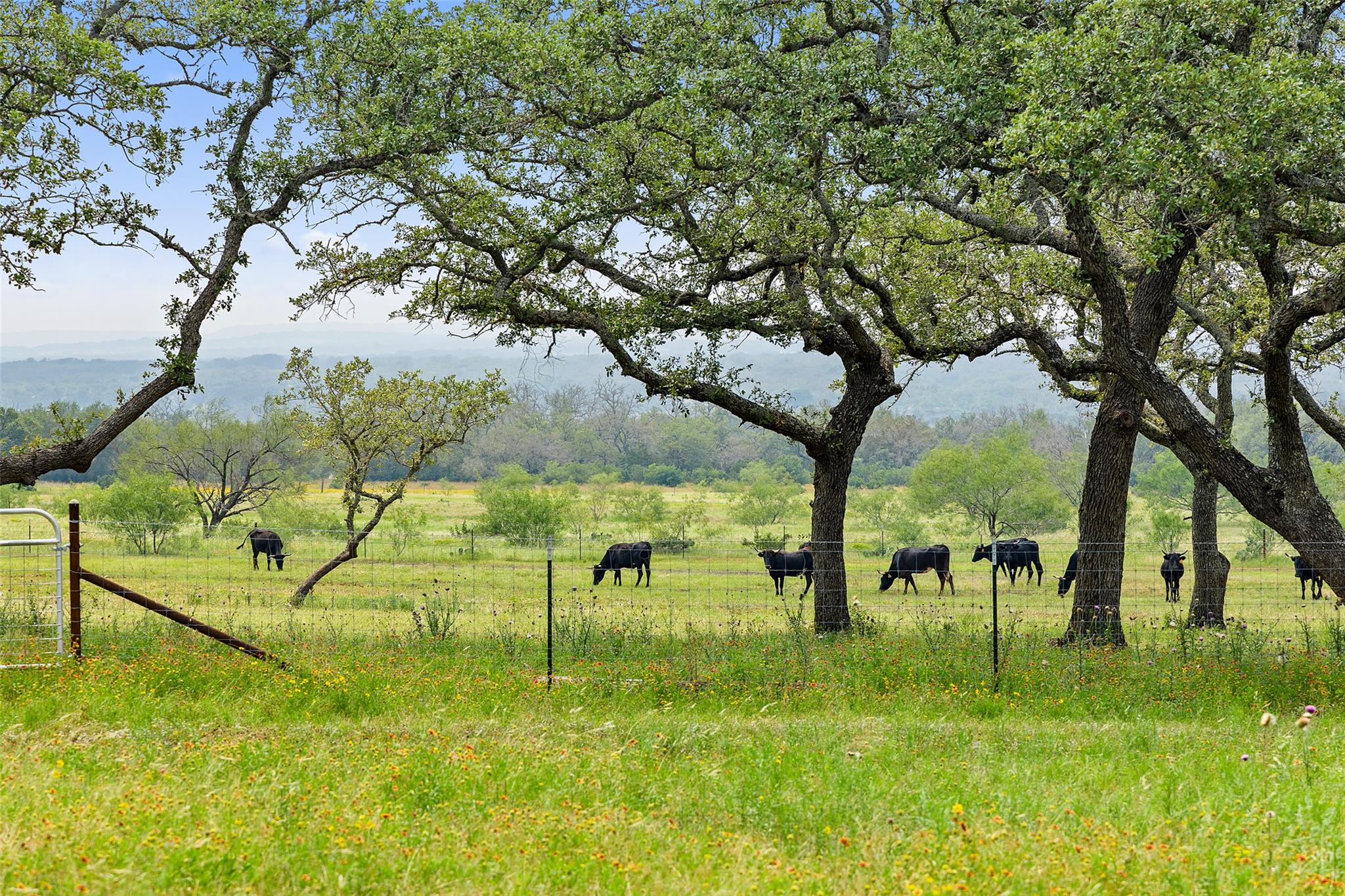 3431 Klett Ranch Road Johnson City TX 78636