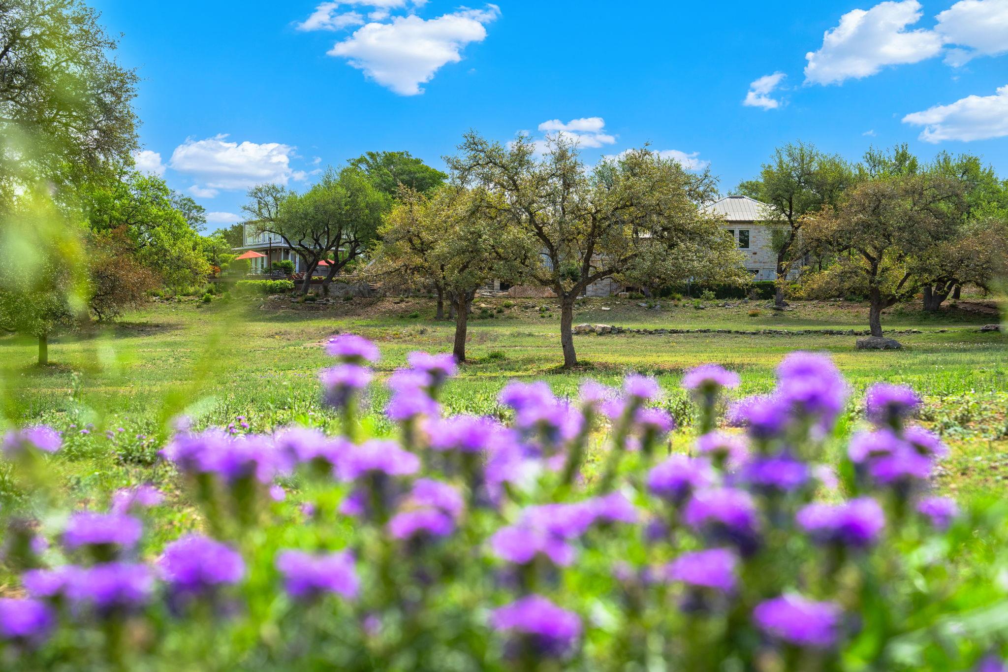 100 Rainbow's End Wimberley TX 78676