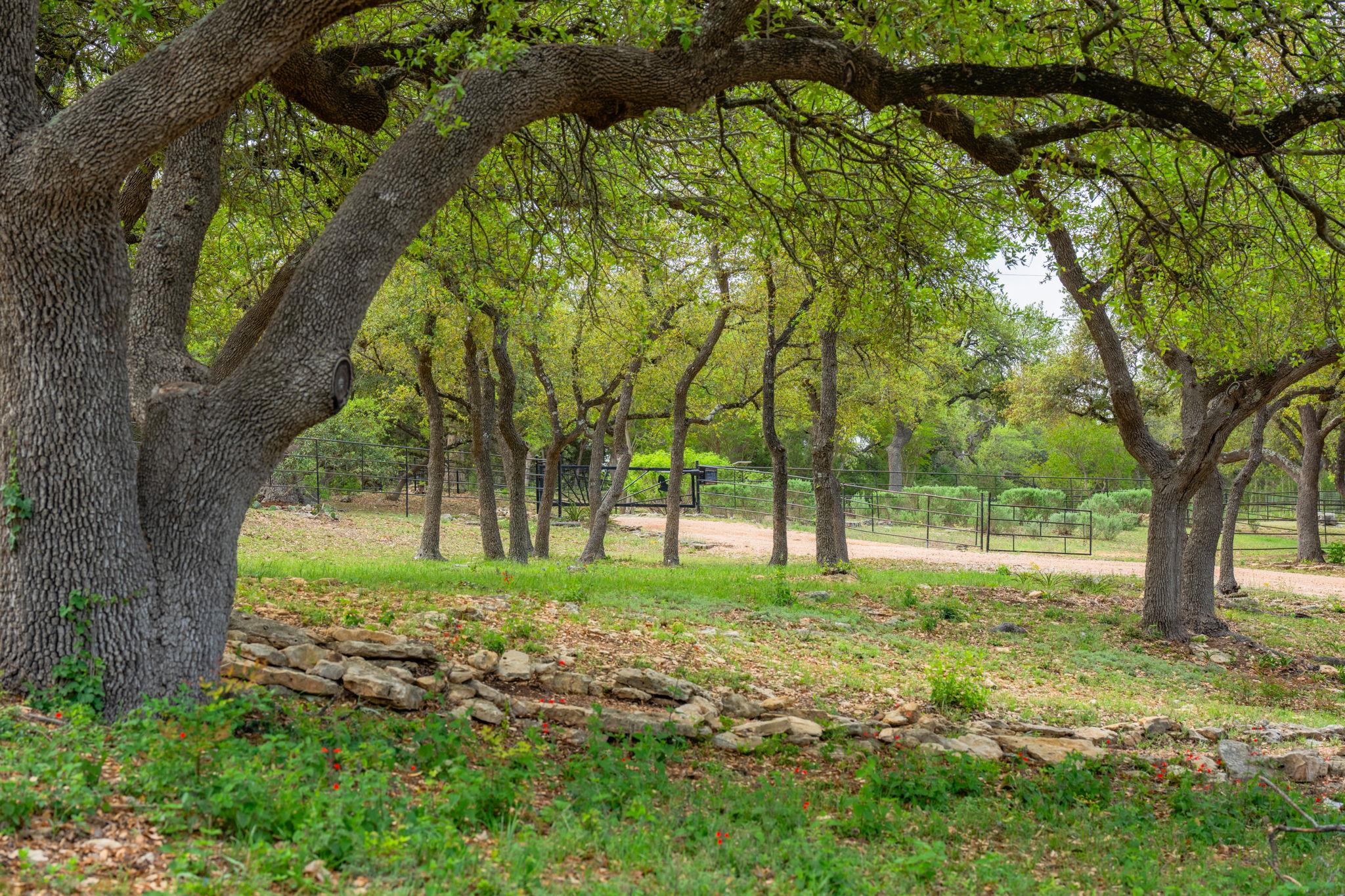 100 Rainbow's End Wimberley TX 78676