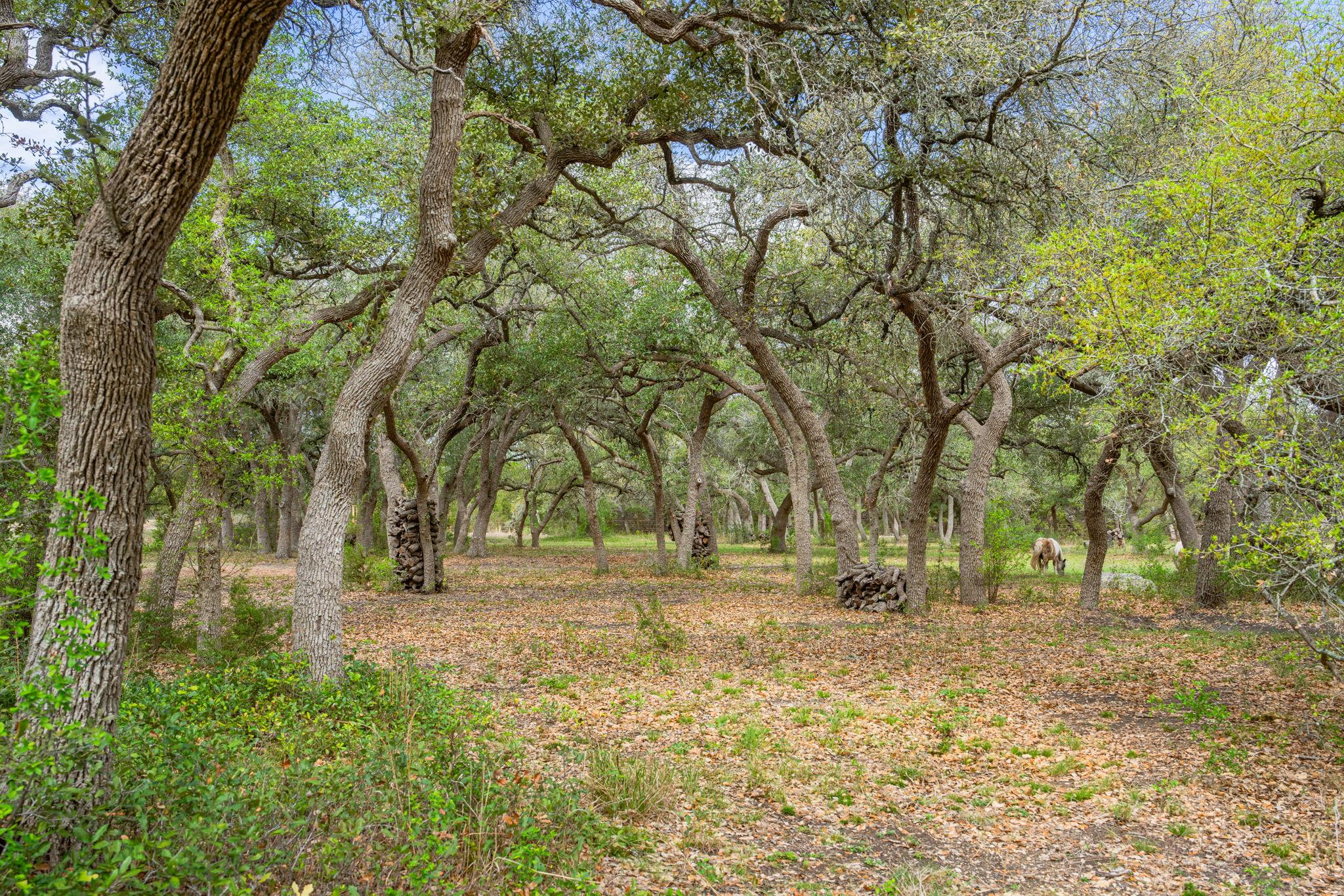 100 Rainbow's End Wimberley TX 78676