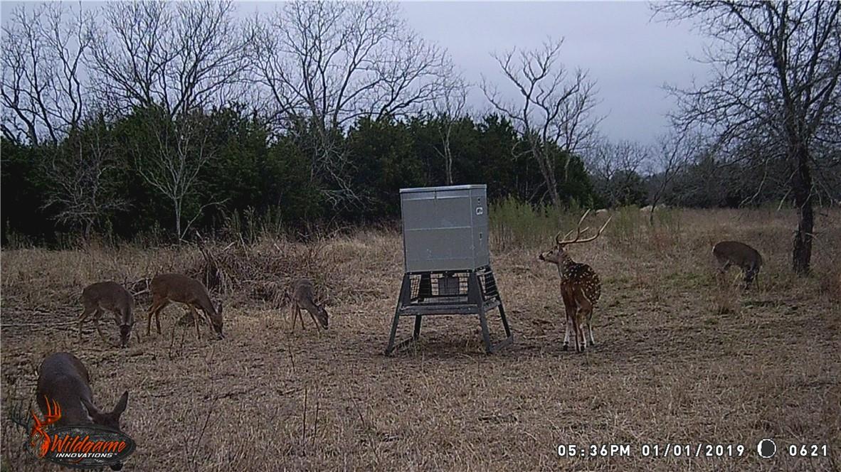 440 Chimney Valley Road Blanco TX 78606