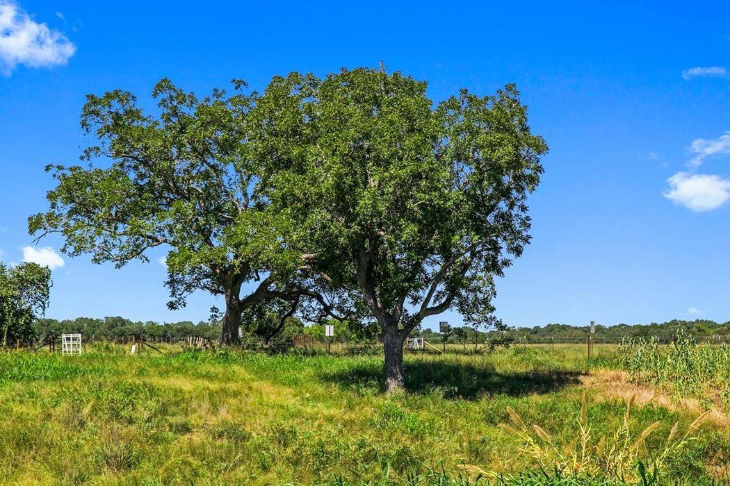 440 Chimney Valley Road Blanco TX 78606
