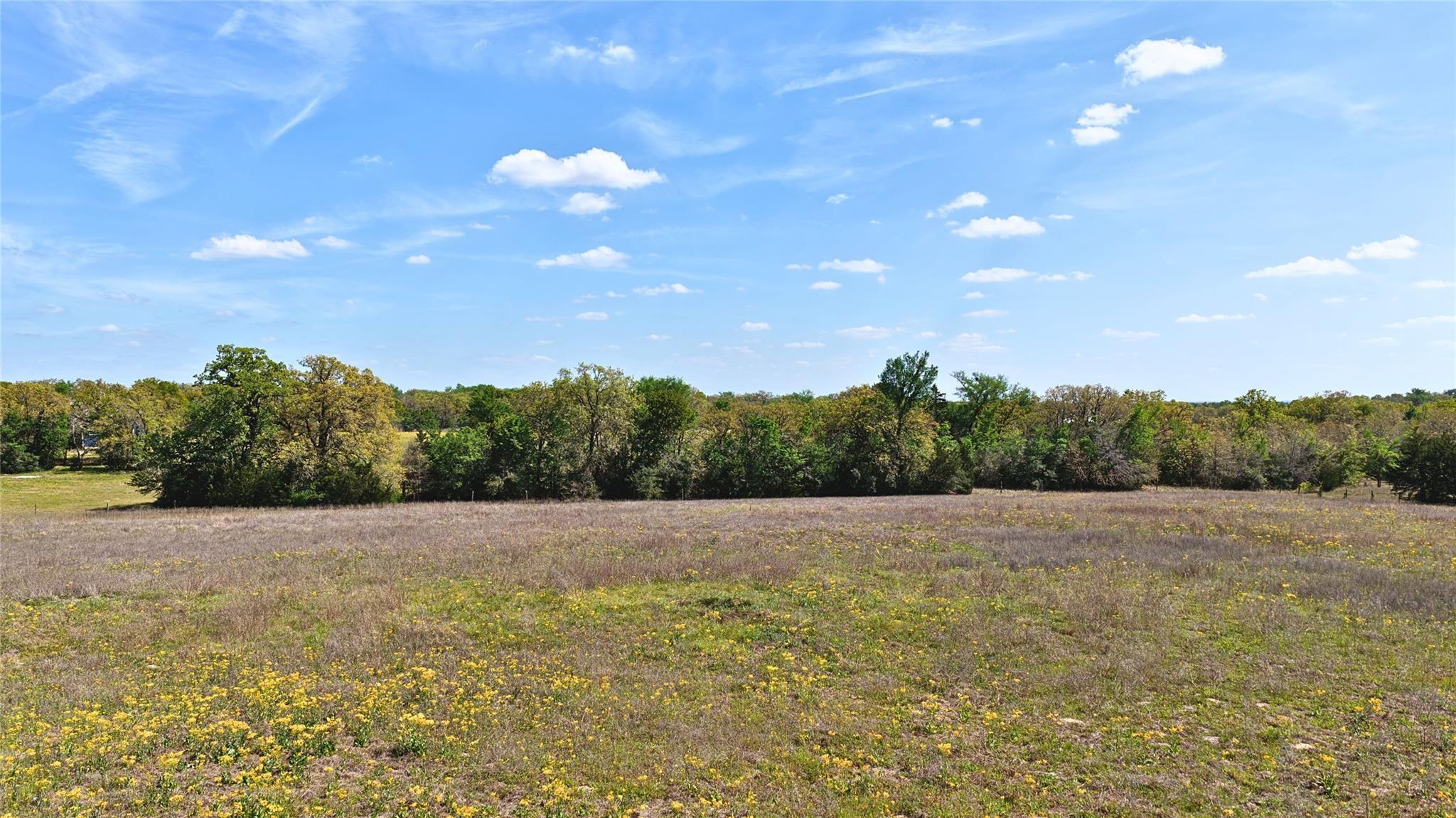 Tbd Legacy Road (10.4 Acres) Caldwell TX 77836