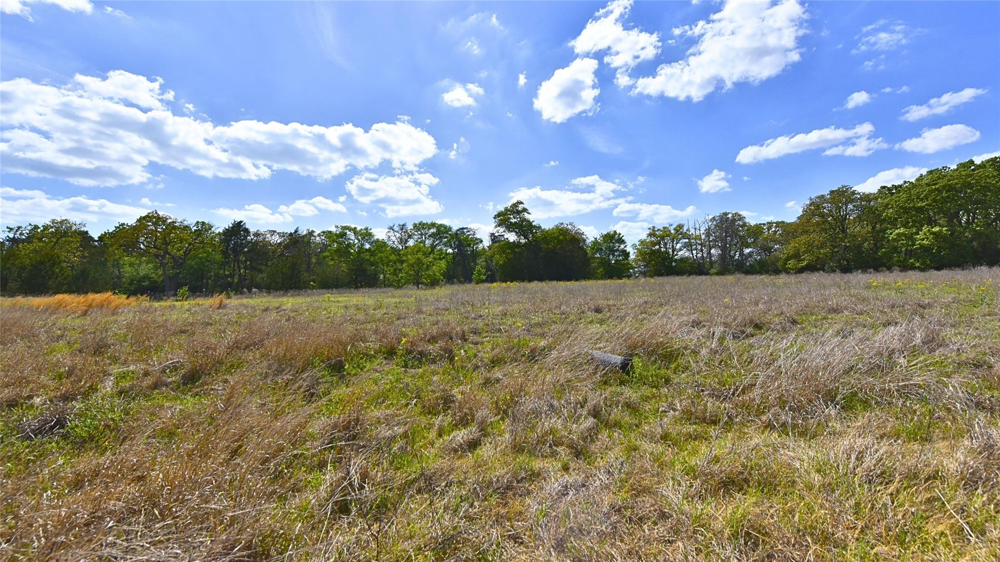 Tbd Legacy Road (10.4 Acres) Caldwell TX 77836