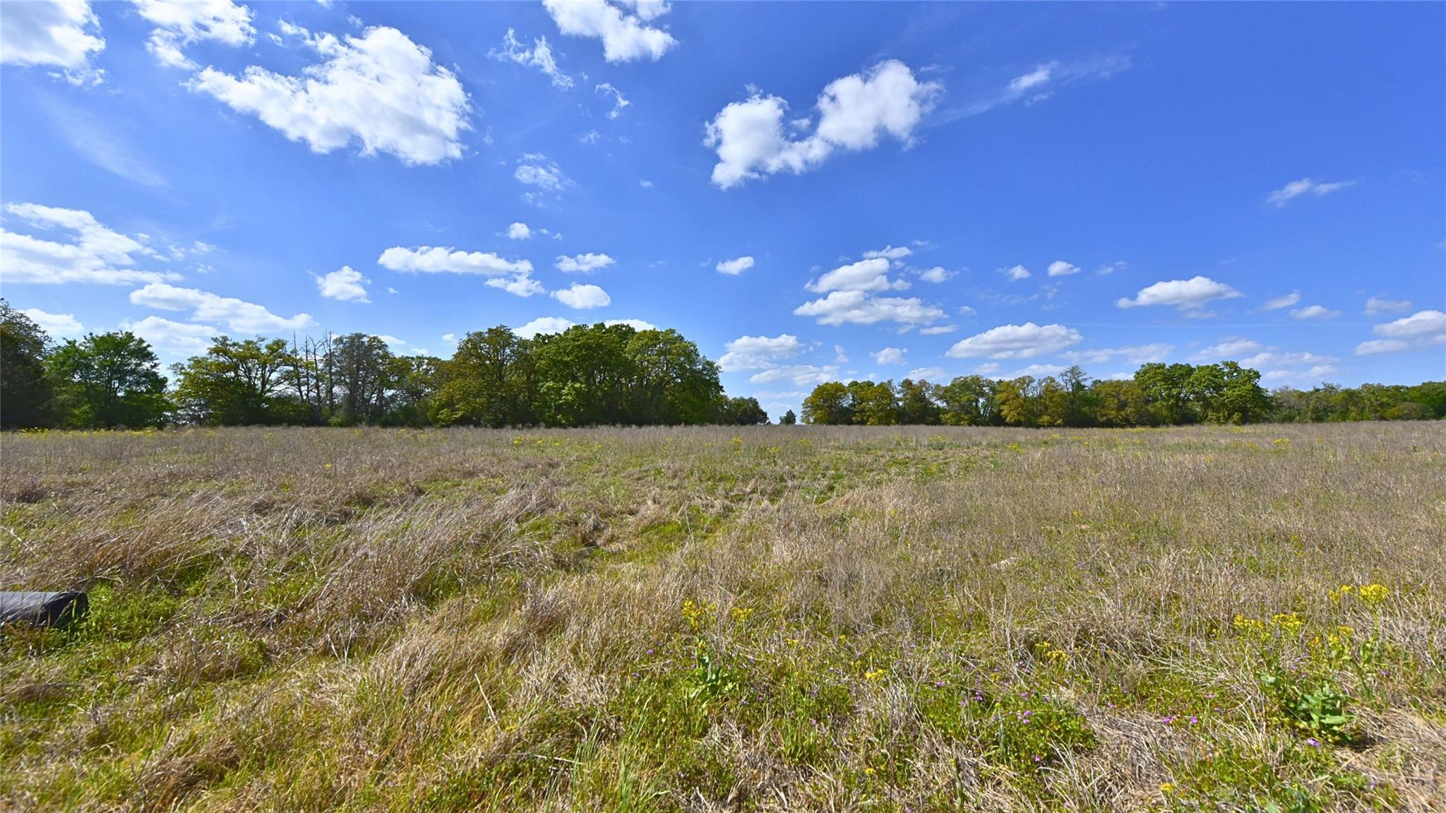 Tbd Legacy Road (10.4 Acres) Caldwell TX 77836