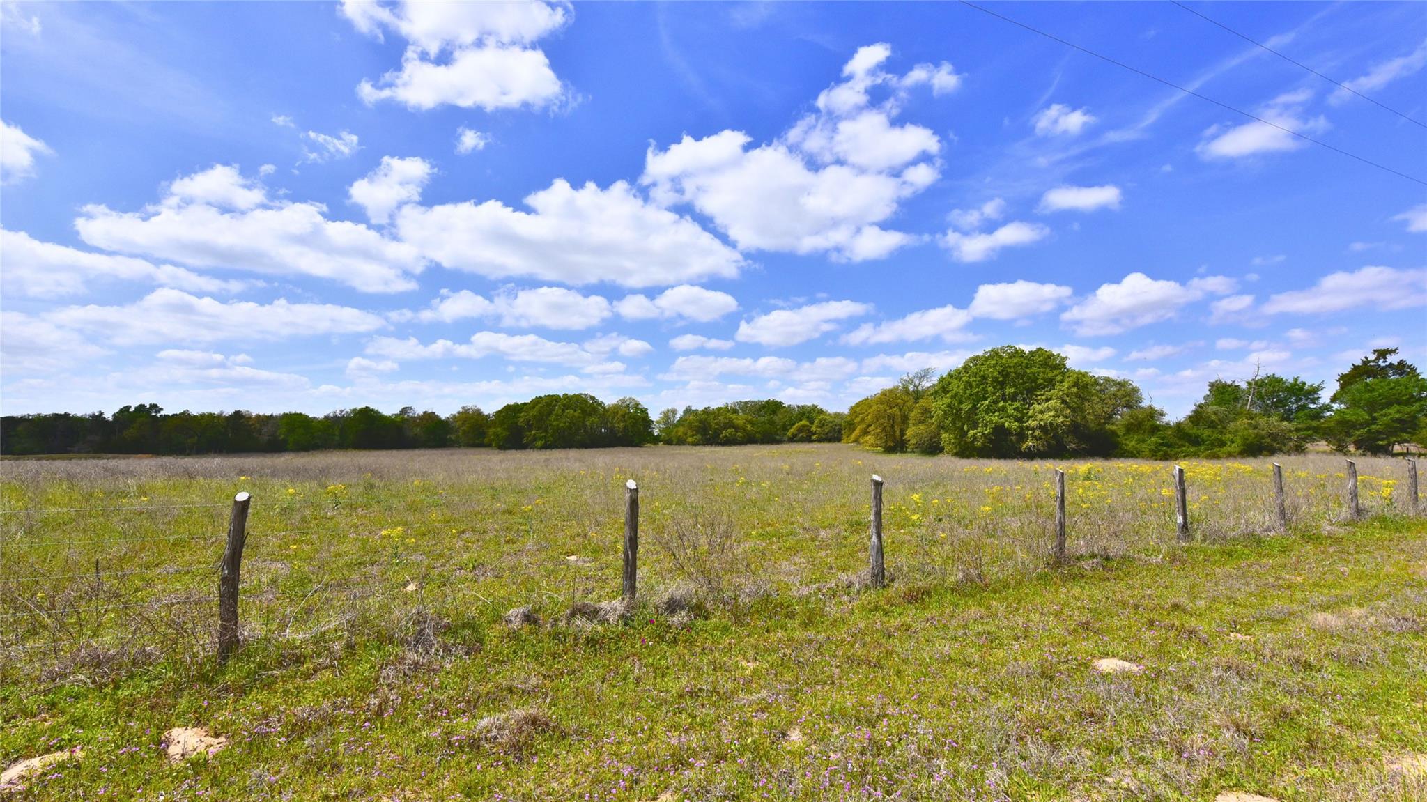 Tbd Legacy Road (10.4 Acres) Caldwell TX 77836