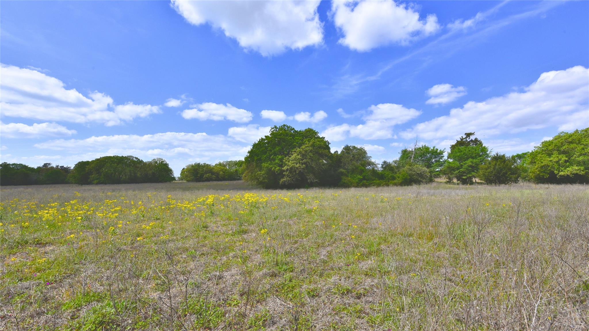 Tbd Legacy Road (10.4 Acres) Caldwell TX 77836