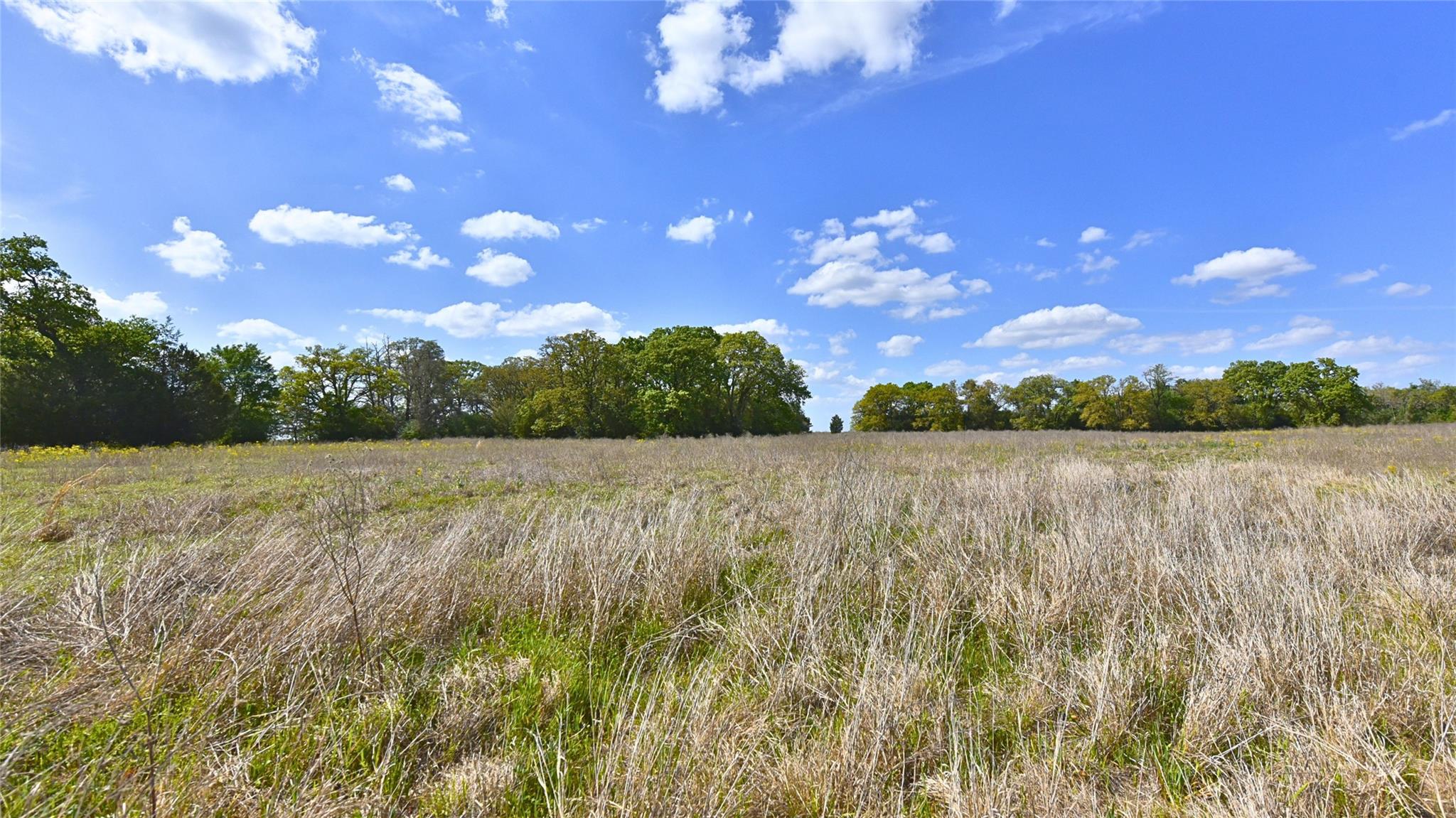 Tbd Legacy Road (10.4 Acres) Caldwell TX 77836