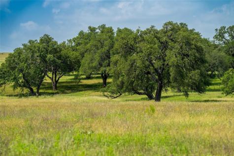 302 Hye Albert Road Hye TX 78635