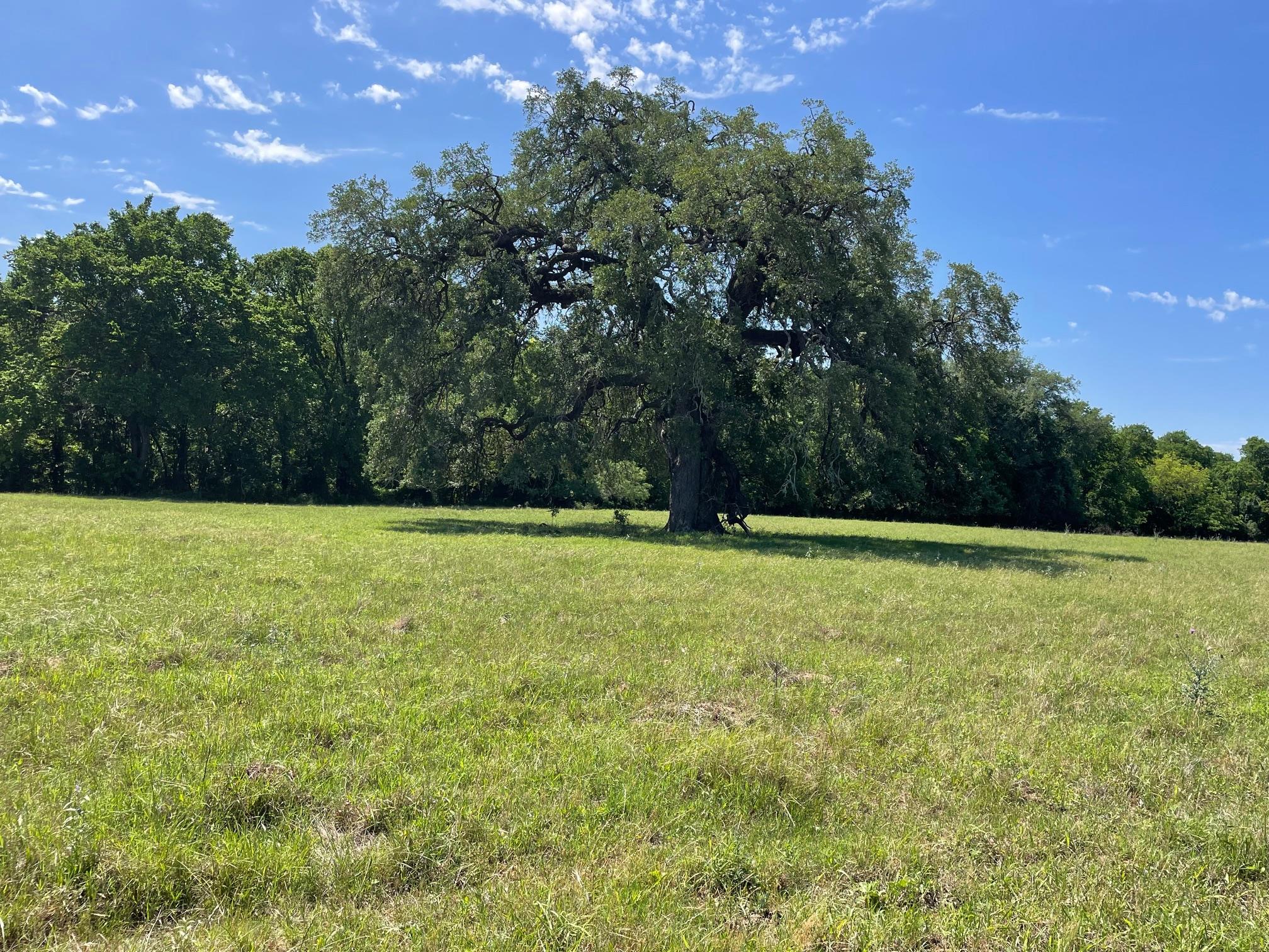 Tbd 144.45 Acres Smithville TX 78957