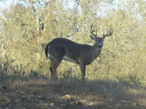 Tbd 144.45 Acres Smithville TX 78957