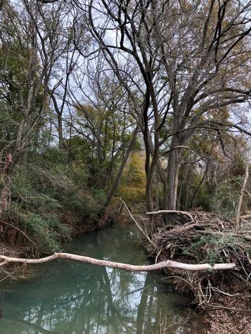 Tbd 144.45 Acres Smithville TX 78957