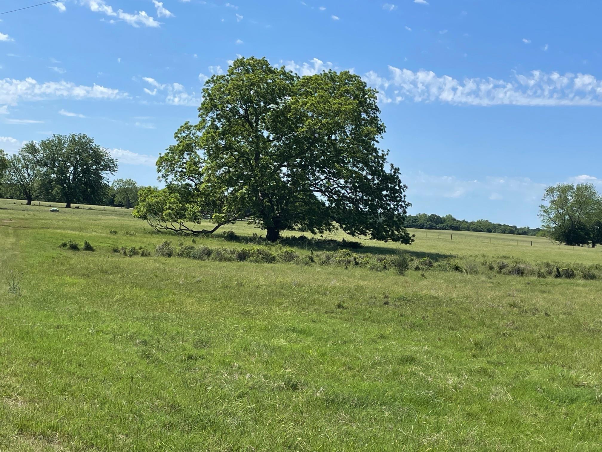 Tbd 144.45 Acres Smithville TX 78957
