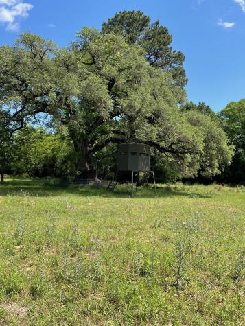 Tbd 144.45 Acres Smithville TX 78957