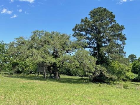 Tbd 144.45 Acres Smithville TX 78957
