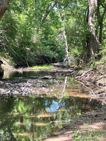 Tbd 144.45 Acres Smithville TX 78957
