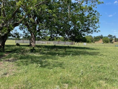 Tbd 144.45 Acres Smithville TX 78957