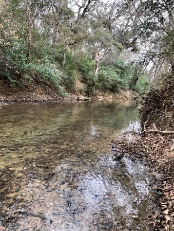 Tbd 144.45 Acres Smithville TX 78957