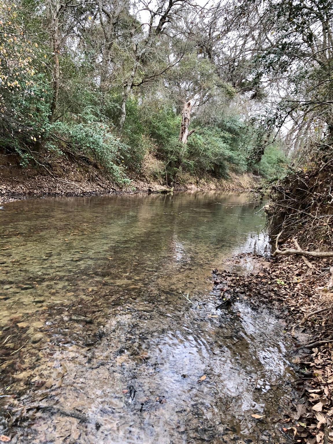 Tbd 144.45 Acres Smithville TX 78957