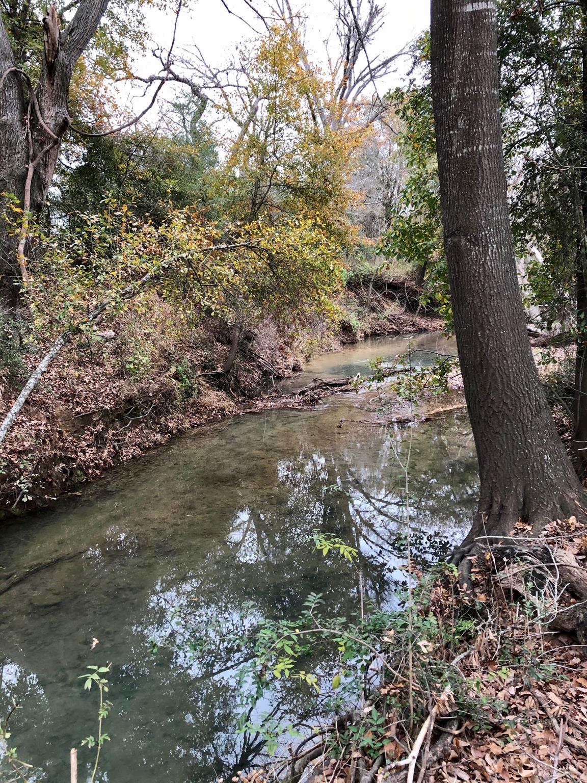 Tbd 144.45 Acres Smithville TX 78957