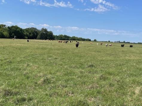 Tbd 144.45 Acres Smithville TX 78957