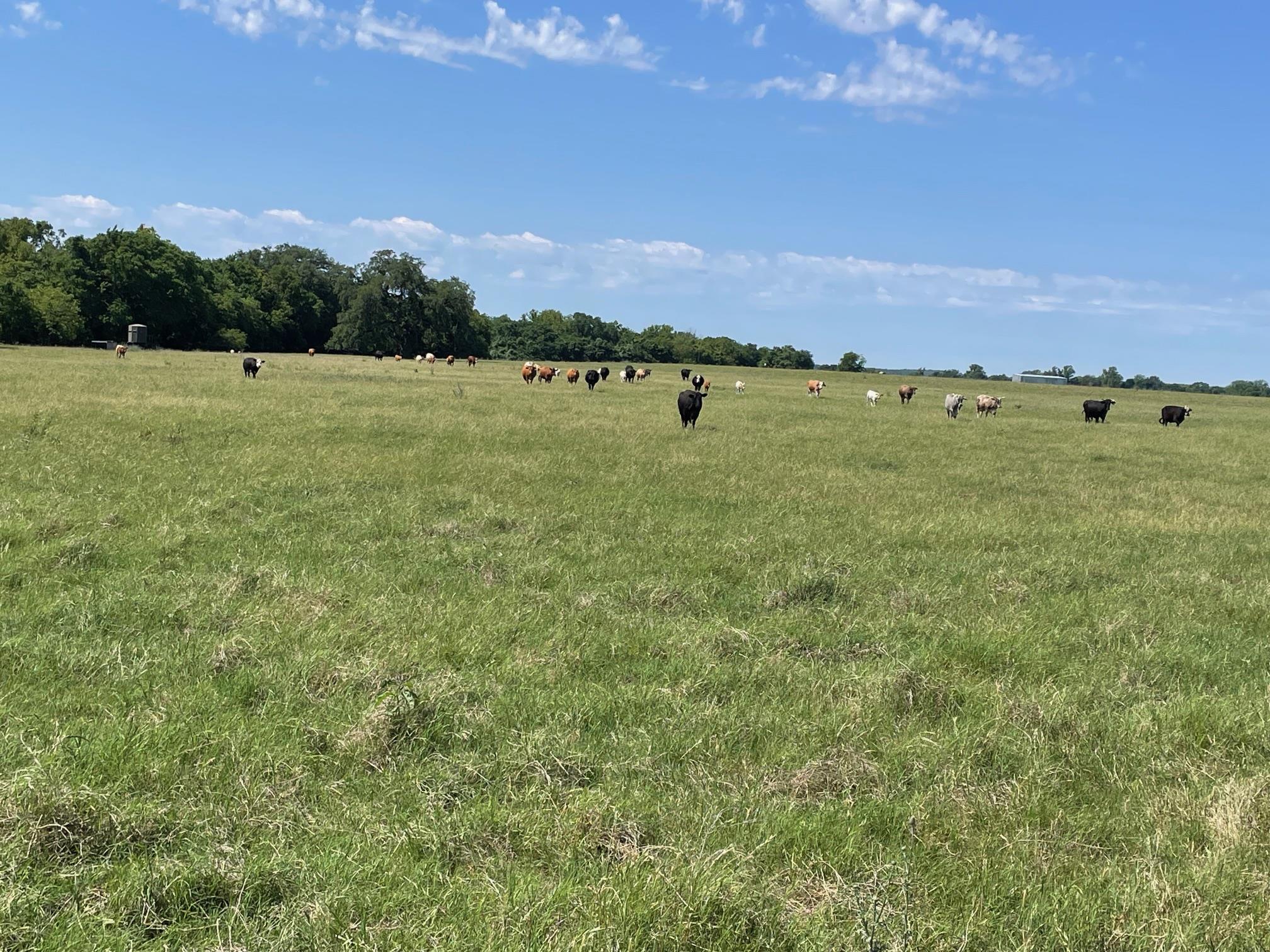 Tbd 144.45 Acres Smithville TX 78957