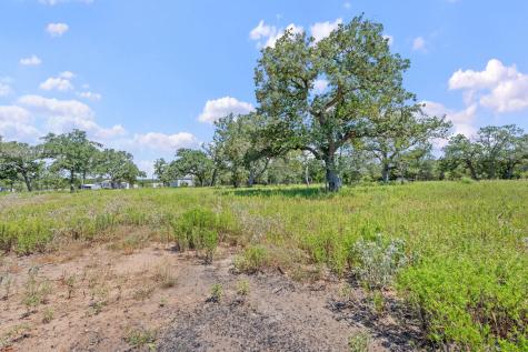 1385 Pettytown Road Dale TX 78616