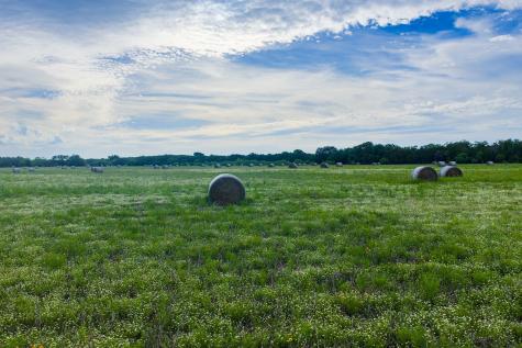16833 County Road 2200 Lometa TX 76853