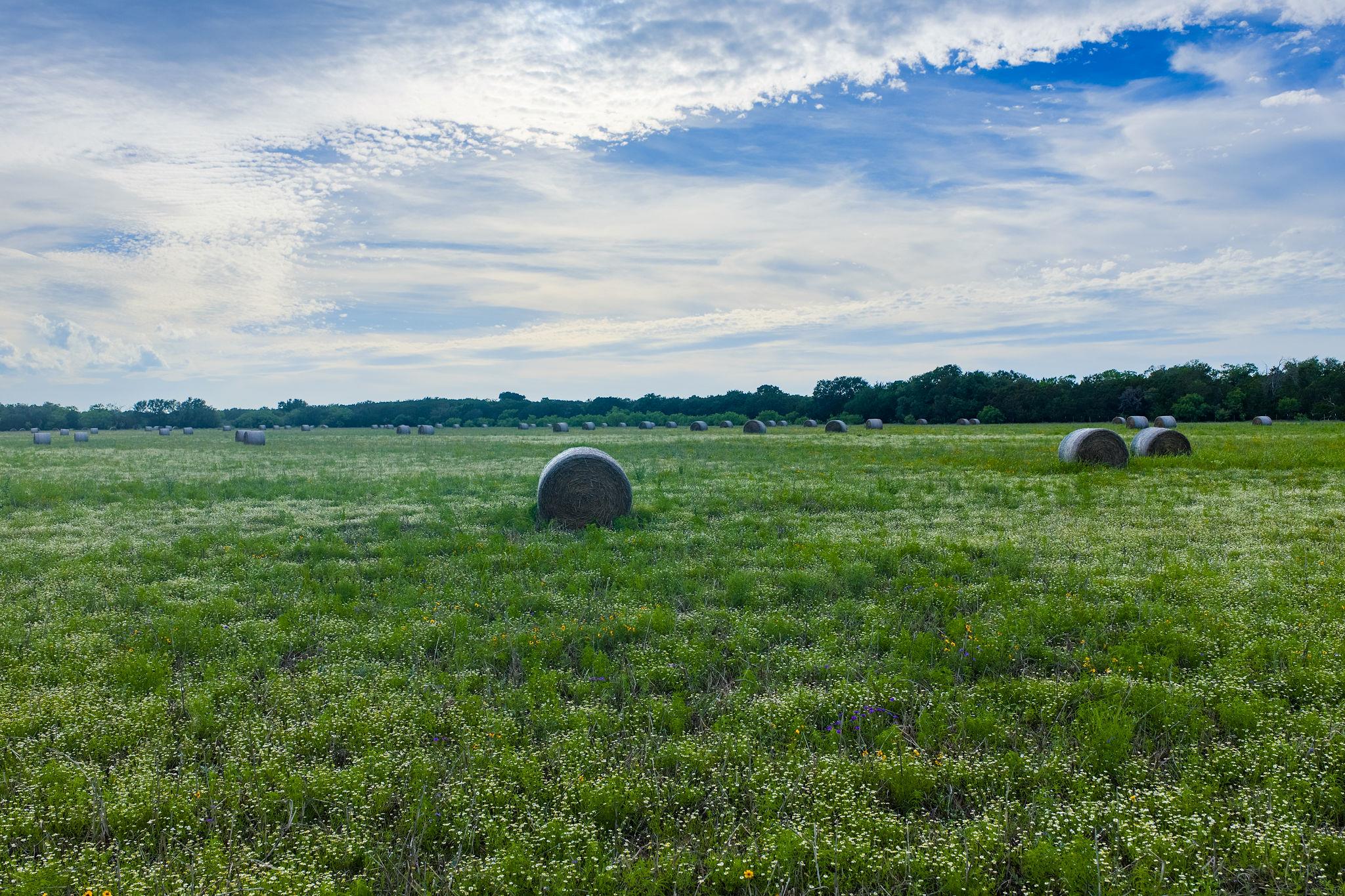 16833 County Road 2200 Lometa TX 76853