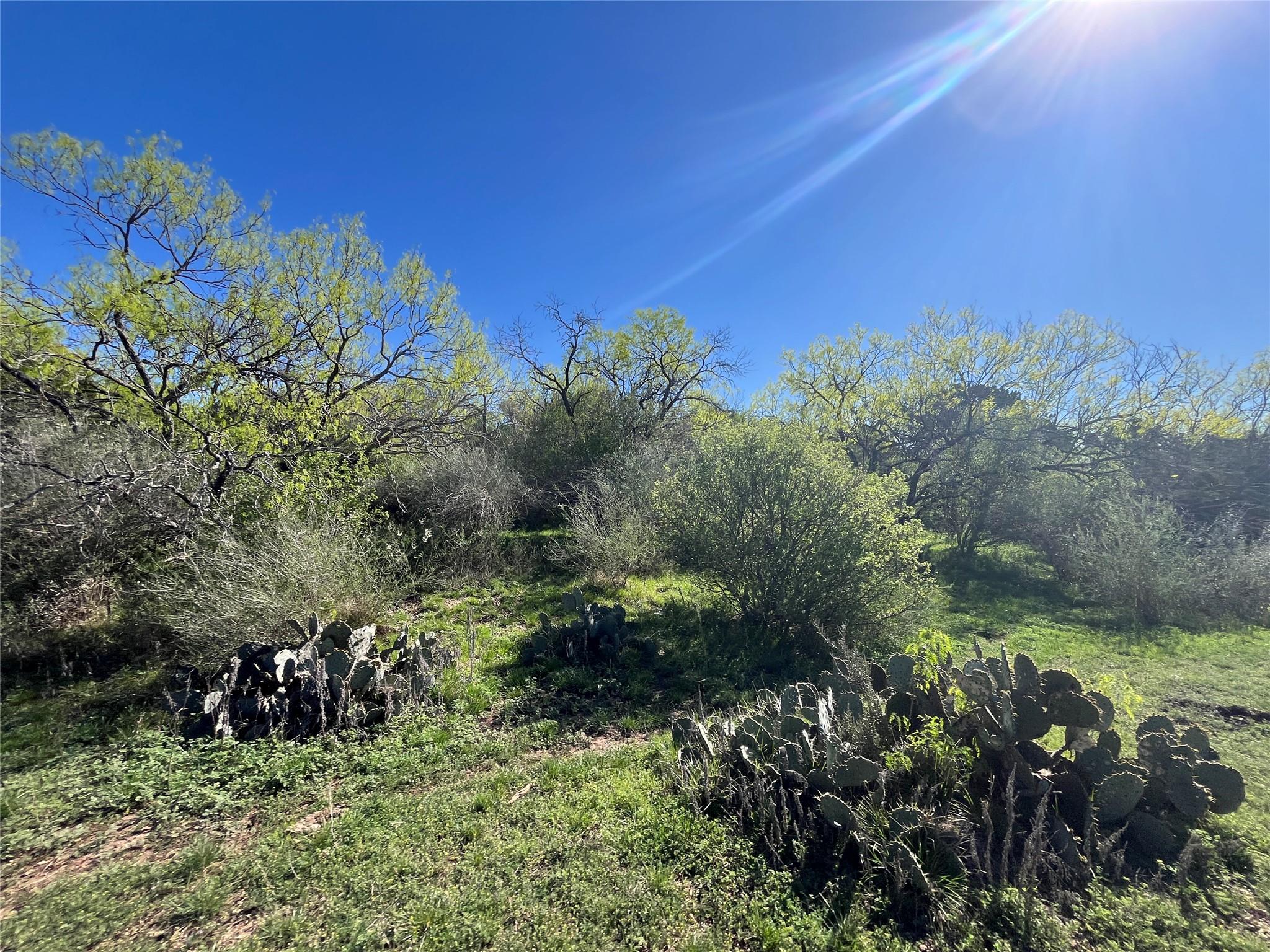 1218 Private Road 1377 Lampasas TX 76550