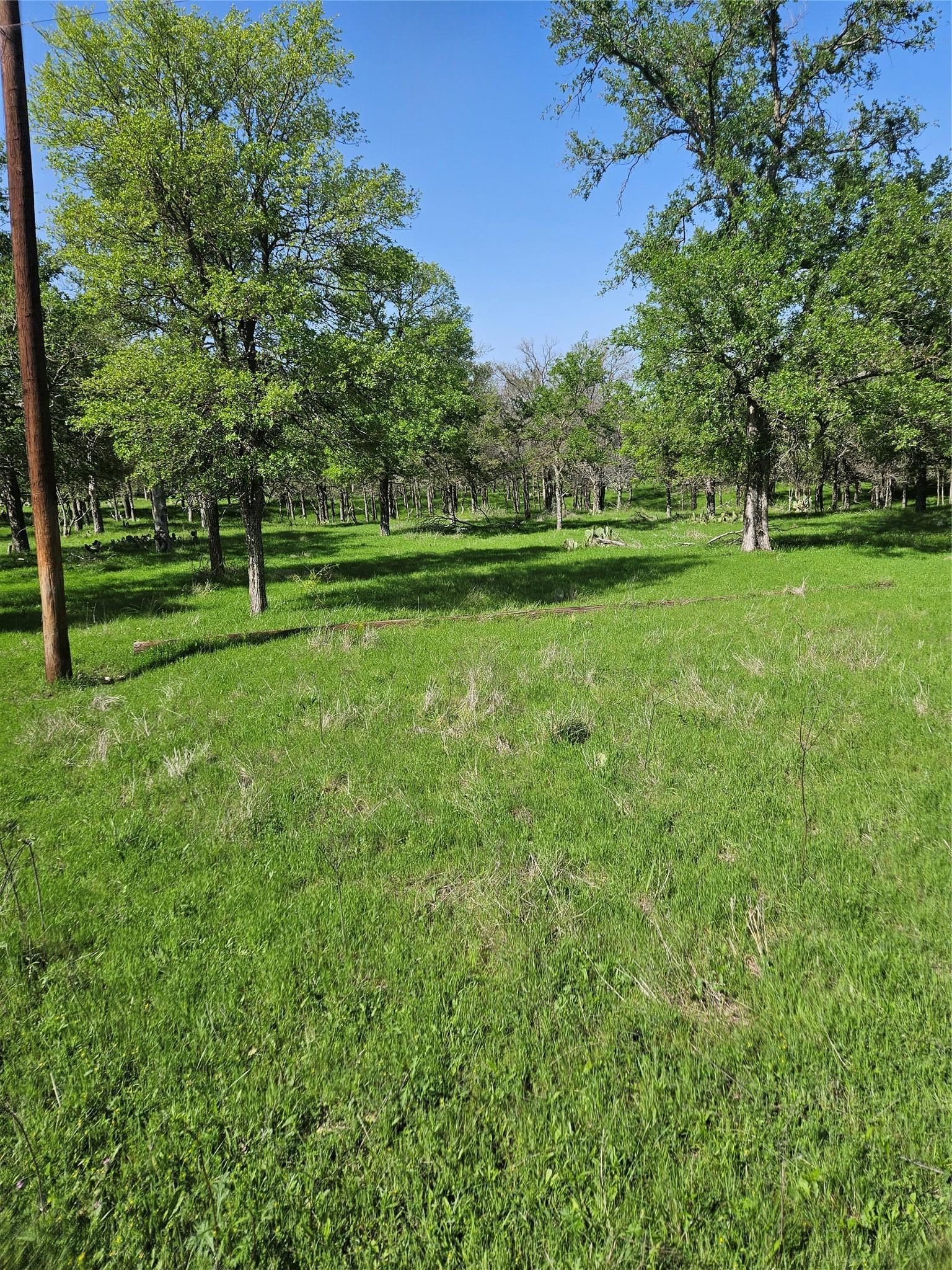 1988 Cr 116 Road Rogers TX 76569