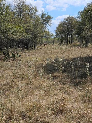 1988 Cr 116 Road Rogers TX 76569