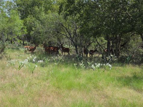 1988 Cr 116 Road Rogers TX 76569