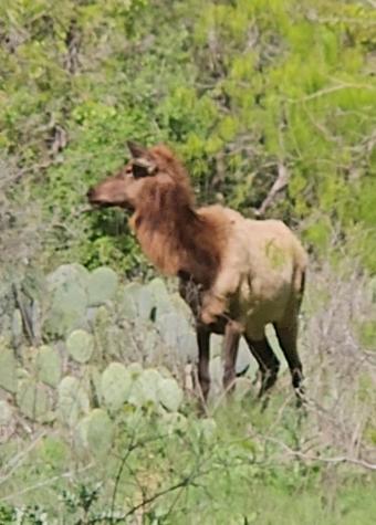 1988 Cr 116 Road Rogers TX 76569