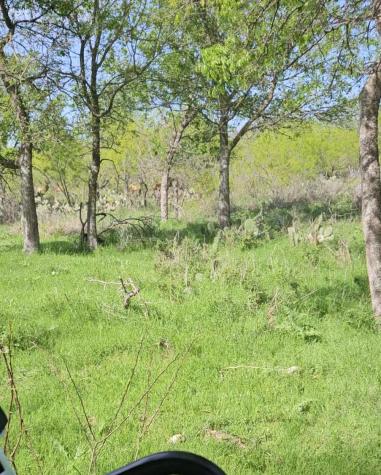 1988 Cr 116 Road Rogers TX 76569