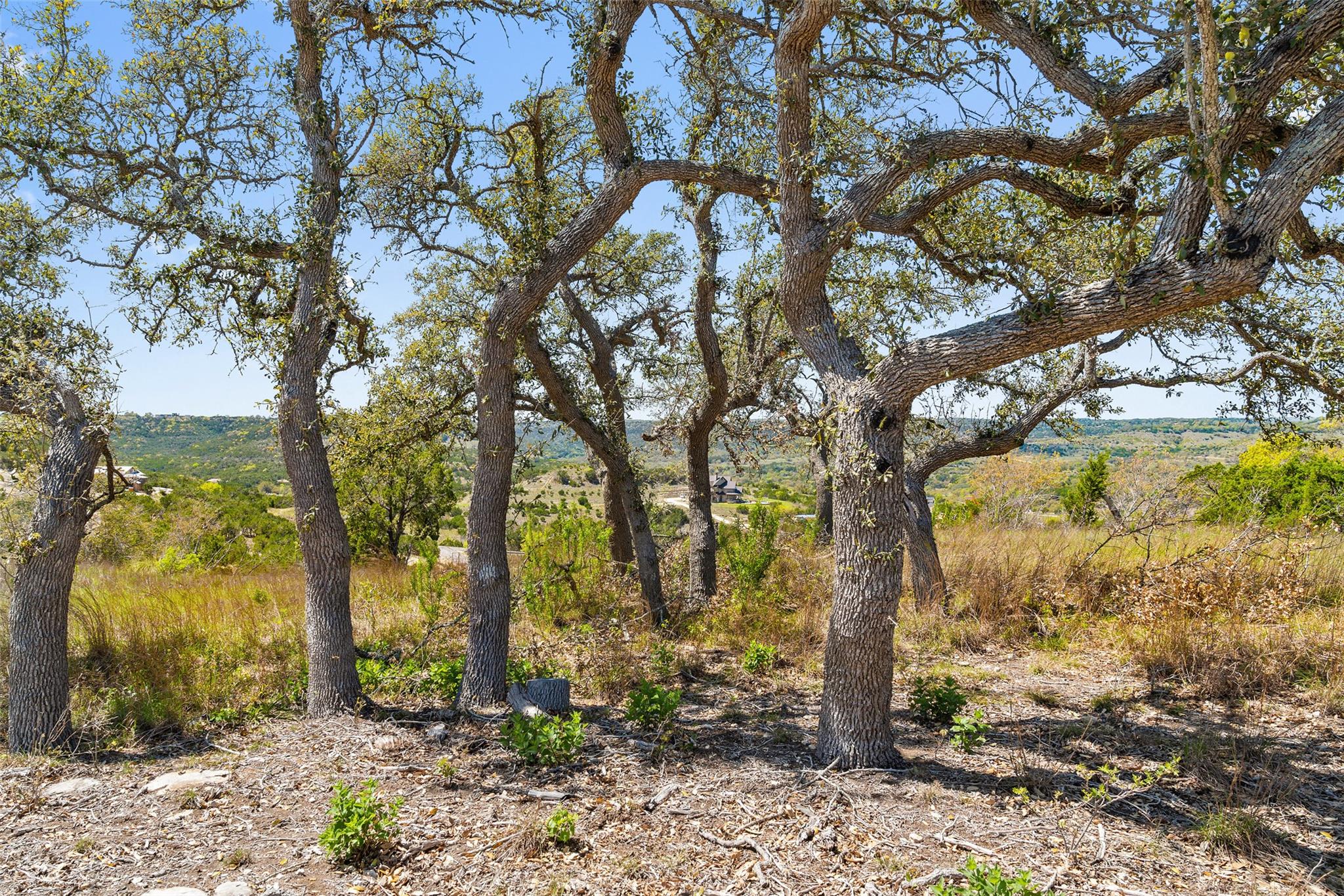 628 Antelope Cove Blanco TX 78606