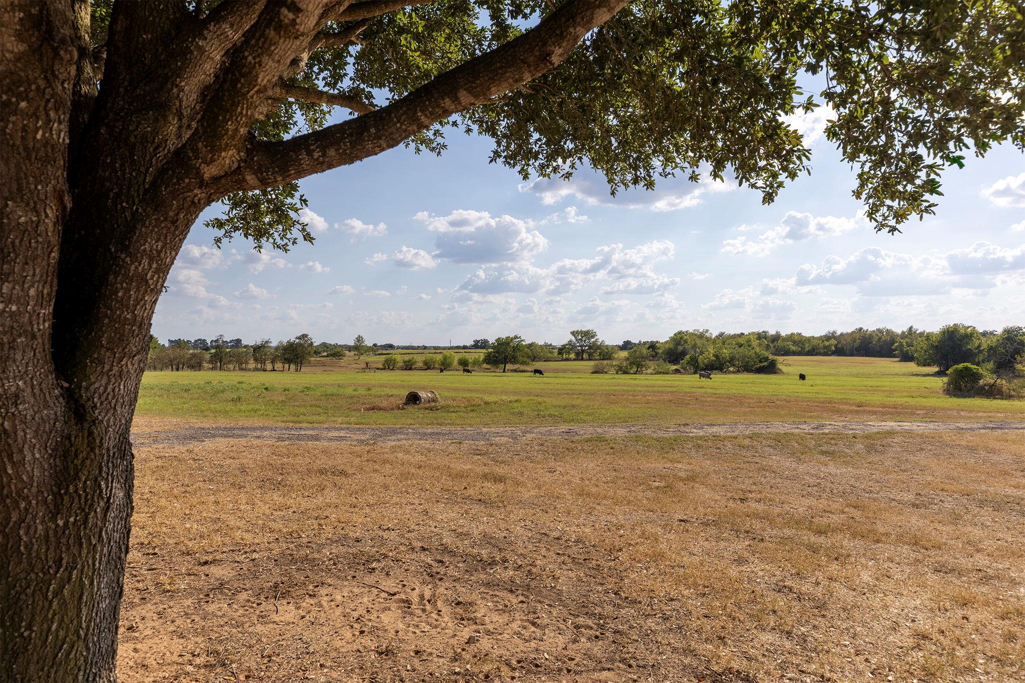 1124 County Road 301 Elgin TX 78621