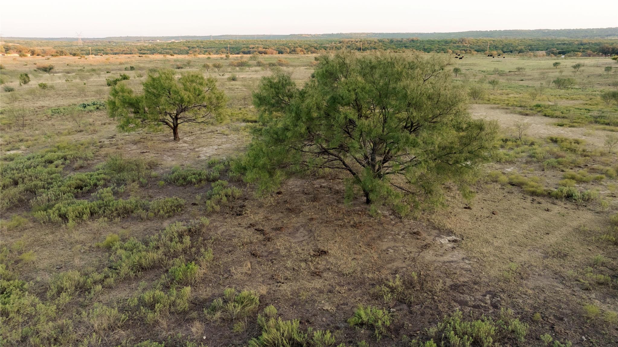 247 E Fm 581 Highway Lometa TX 76853